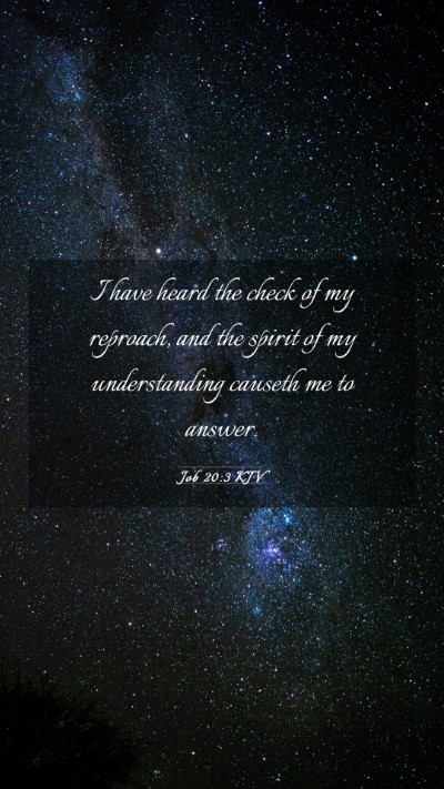Picture 03 - Job 20:3 KJV Mobile Phone Wallpaper - I have heard the check of my reproach, and the - Mobile Bible Verse Wallpaper