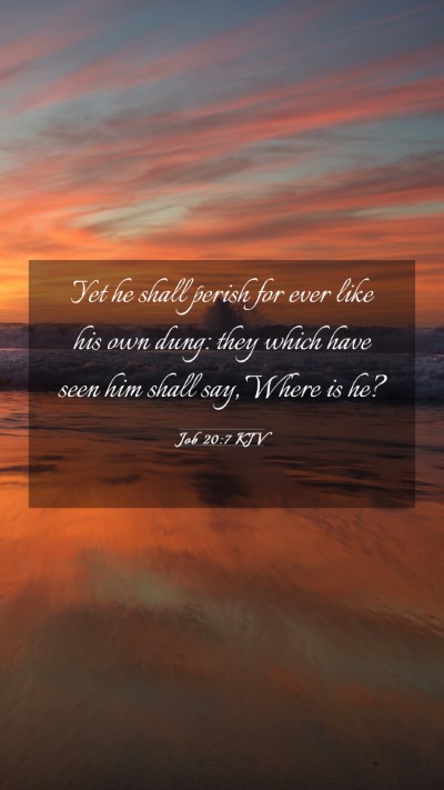 Picture 03 - Job 20:7 KJV Mobile Phone Wallpaper - Yet he shall perish for ever like his own dung: - Mobile Bible Verse Wallpaper