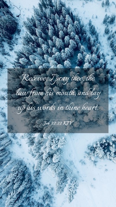 Picture 03 - Job 22:22 KJV Mobile Phone Wallpaper - Receive, I pray thee, the law from his mouth, and - Mobile Bible Verse Wallpaper
