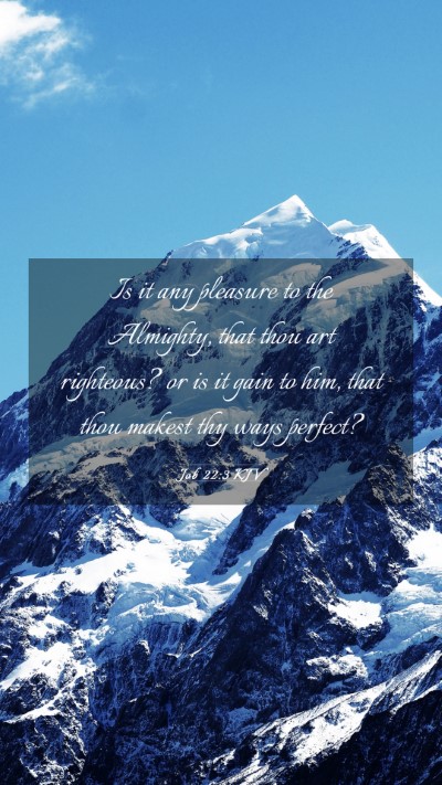 Picture 03 - Job 22:3 KJV Mobile Phone Wallpaper - Is it any pleasure to the Almighty, that thou art - Mobile Bible Verse Wallpaper
