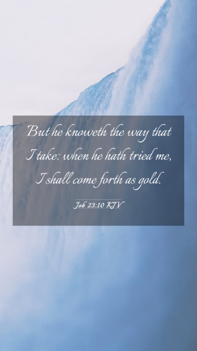 Picture 03 - Job 23:10 KJV Mobile Phone Wallpaper - But he knoweth the way that I take: when he hath - Mobile Bible Verse Wallpaper