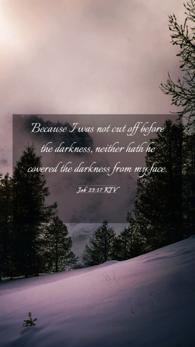 Picture 03 - Job 23:17 KJV Mobile Phone Wallpaper - Because I was not cut off before the darkness, - Mobile Bible Verse Wallpaper