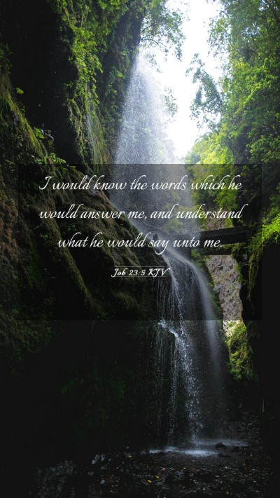 Picture 03 - Job 23:5 KJV Mobile Phone Wallpaper - I would know the words which he would answer me, - Mobile Bible Verse Wallpaper