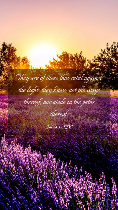 Picture 03 - Job 24:13 KJV Mobile Phone Wallpaper - They are of those that rebel against the light; - Mobile Bible Verse Wallpaper