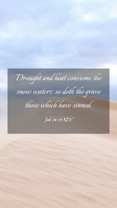 Picture 03 - Job 24:19 KJV Mobile Phone Wallpaper - Drought and heat consume the snow waters: so doth - Mobile Bible Verse Wallpaper