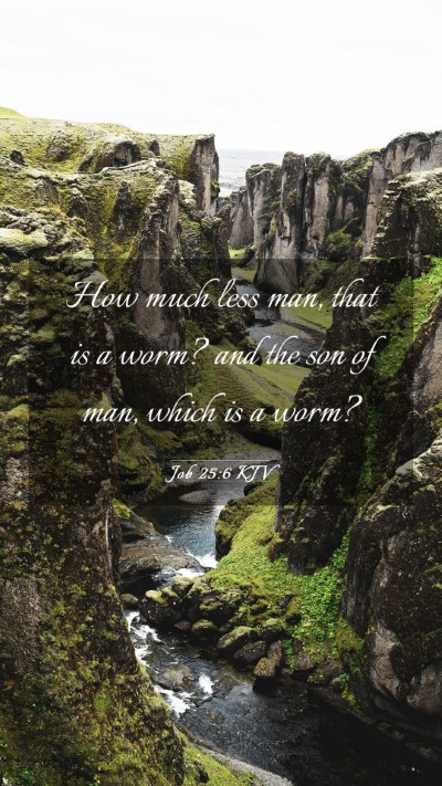 Picture 03 - Job 25:6 KJV Mobile Phone Wallpaper - How much less man, that is a worm? and the son of - Mobile Bible Verse Wallpaper