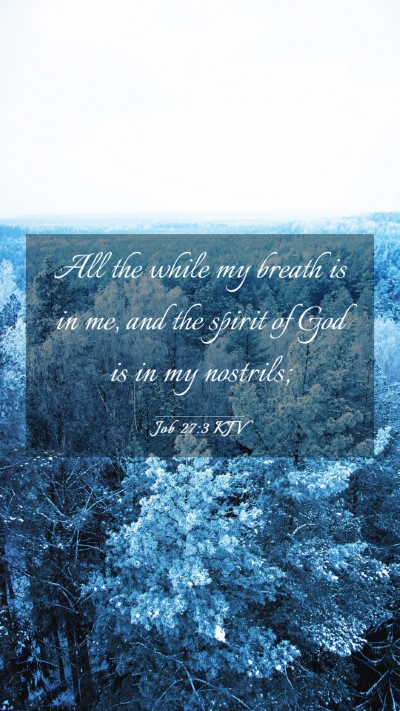 Picture 03 - Job 27:3 KJV Mobile Phone Wallpaper - All the while my breath is in me, and the spirit - Mobile Bible Verse Wallpaper