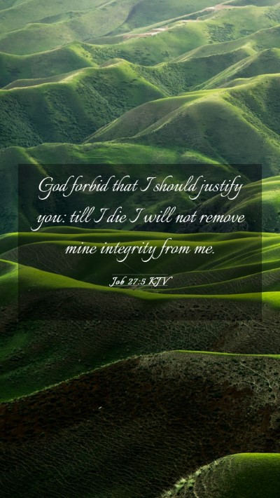 Picture 03 - Job 27:5 KJV Mobile Phone Wallpaper - God forbid that I should justify you: till I die - Mobile Bible Verse Wallpaper