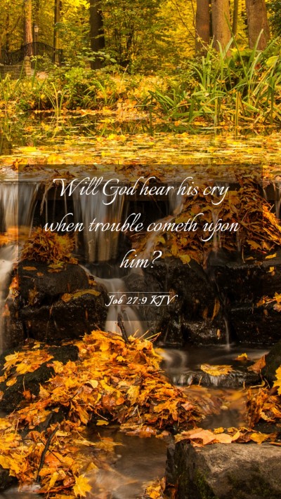 Picture 03 - Job 27:9 KJV Mobile Phone Wallpaper - Will God hear his cry when trouble cometh upon - Mobile Bible Verse Wallpaper