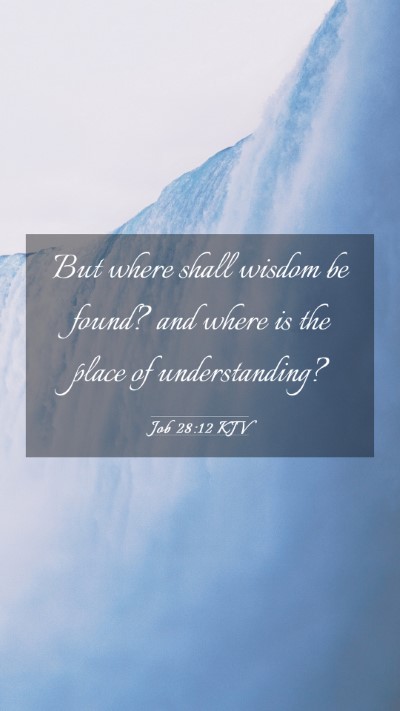 Picture 03 - Job 28:12 KJV Mobile Phone Wallpaper - But where shall wisdom be found? and where is the - Mobile Bible Verse Wallpaper