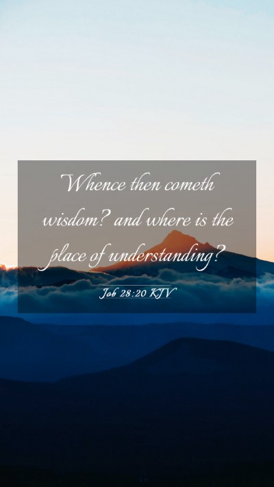 Picture 03 - Job 28:20 KJV Mobile Phone Wallpaper - Whence then cometh wisdom? and where is the place - Mobile Bible Verse Wallpaper