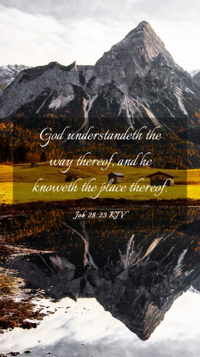 Picture 03 - Job 28:23 KJV Mobile Phone Wallpaper - God understandeth the way thereof, and he knoweth - Mobile Bible Verse Wallpaper