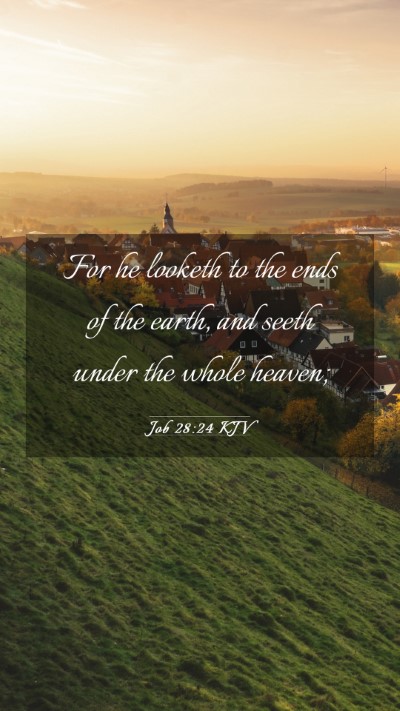 Picture 03 - Job 28:24 KJV Mobile Phone Wallpaper - For he looketh to the ends of the earth, and - Mobile Bible Verse Wallpaper