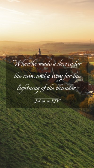 Picture 03 - Job 28:26 KJV Mobile Phone Wallpaper - When he made a decree for the rain, and a way for - Mobile Bible Verse Wallpaper