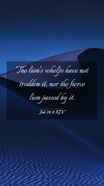 Picture 03 - Job 28:8 KJV Mobile Phone Wallpaper - The lion's whelps have not trodden it, nor the - Mobile Bible Verse Wallpaper