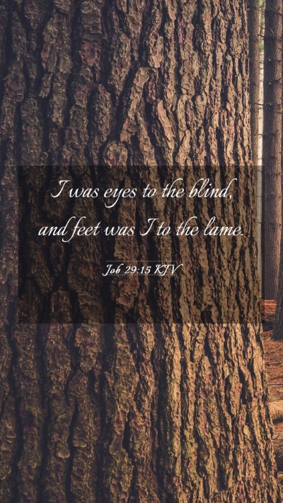 Picture 03 - Job 29:15 KJV Mobile Phone Wallpaper - I was eyes to the blind, and feet was I to the - Mobile Bible Verse Wallpaper