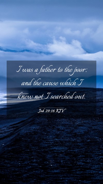 Picture 03 - Job 29:16 KJV Mobile Phone Wallpaper - I was a father to the poor: and the cause which I - Mobile Bible Verse Wallpaper