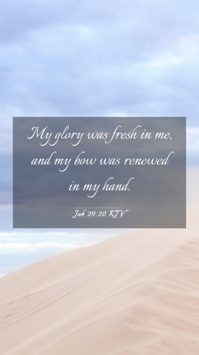 Picture 03 - Job 29:20 KJV Mobile Phone Wallpaper - My glory was fresh in me, and my bow was renewed - Mobile Bible Verse Wallpaper