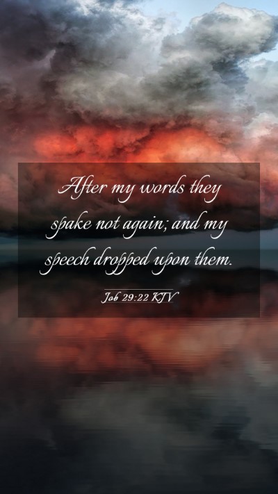 Picture 03 - Job 29:22 KJV Mobile Phone Wallpaper - After my words they spake not again; and my - Mobile Bible Verse Wallpaper