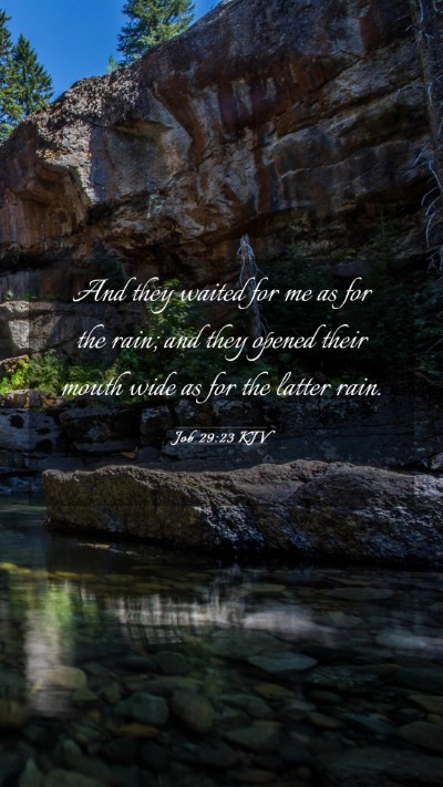 Picture 03 - Job 29:23 KJV Mobile Phone Wallpaper - And they waited for me as for the rain; and they - Mobile Bible Verse Wallpaper
