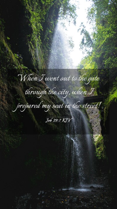 Picture 03 - Job 29:7 KJV Mobile Phone Wallpaper - When I went out to the gate through the city, - Mobile Bible Verse Wallpaper