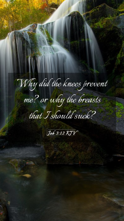 Picture 03 - Job 3:12 KJV Mobile Phone Wallpaper - Why did the knees prevent me? or why the breasts - Mobile Bible Verse Wallpaper