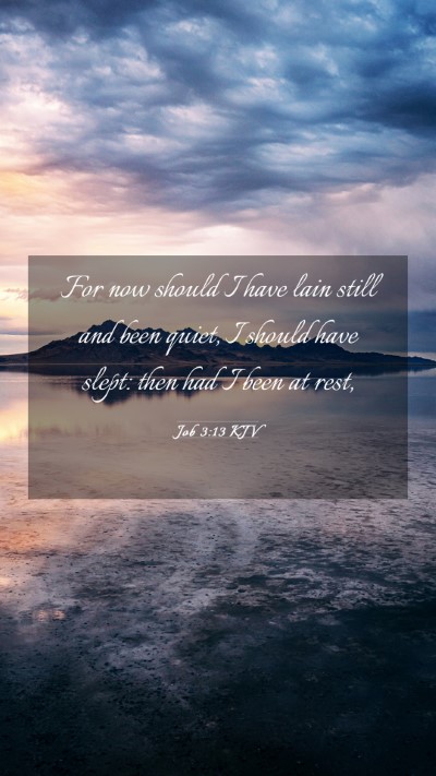 Picture 03 - Job 3:13 KJV Mobile Phone Wallpaper - For now should I have lain still and been quiet, - Mobile Bible Verse Wallpaper