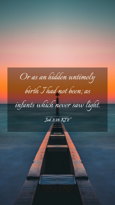 Picture 03 - Job 3:16 KJV Mobile Phone Wallpaper - Or as an hidden untimely birth I had not been; as - Mobile Bible Verse Wallpaper