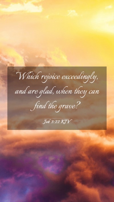Picture 03 - Job 3:22 KJV Mobile Phone Wallpaper - Which rejoice exceedingly, and are glad, when - Mobile Bible Verse Wallpaper
