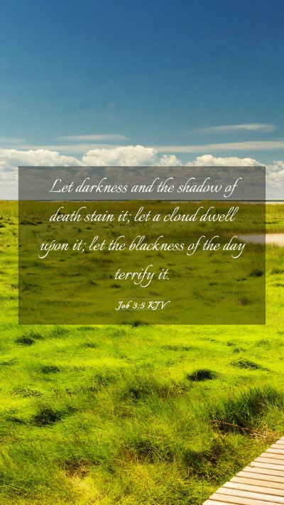 Picture 03 - Job 3:5 KJV Mobile Phone Wallpaper - Let darkness and the shadow of death stain it; - Mobile Bible Verse Wallpaper