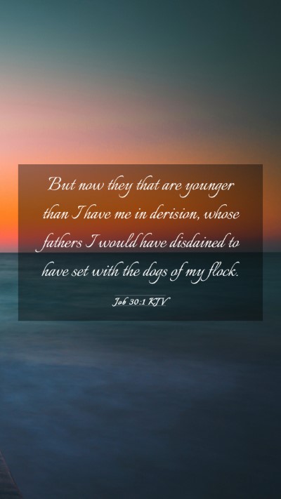 Picture 03 - Job 30:1 KJV Mobile Phone Wallpaper - But now they that are younger than I have me in - Mobile Bible Verse Wallpaper