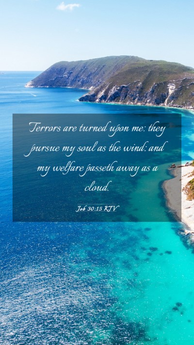 Picture 03 - Job 30:15 KJV Mobile Phone Wallpaper - Terrors are turned upon me: they pursue my soul - Mobile Bible Verse Wallpaper