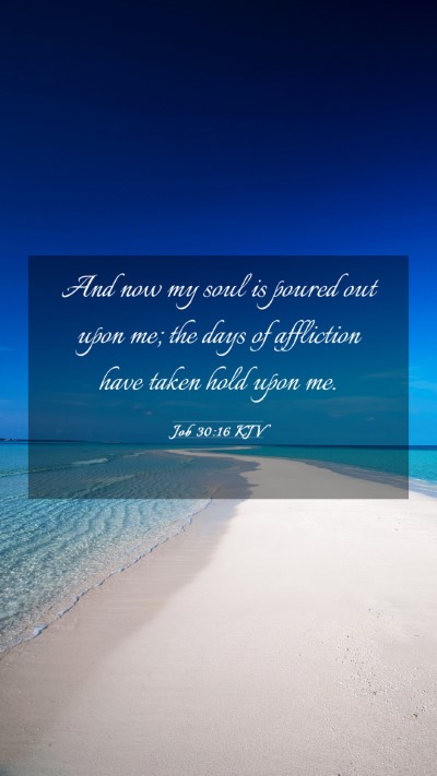 Picture 03 - Job 30:16 KJV Mobile Phone Wallpaper - And now my soul is poured out upon me; the days - Mobile Bible Verse Wallpaper