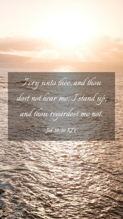 Picture 03 - Job 30:20 KJV Mobile Phone Wallpaper - I cry unto thee, and thou dost not hear me: I - Mobile Bible Verse Wallpaper