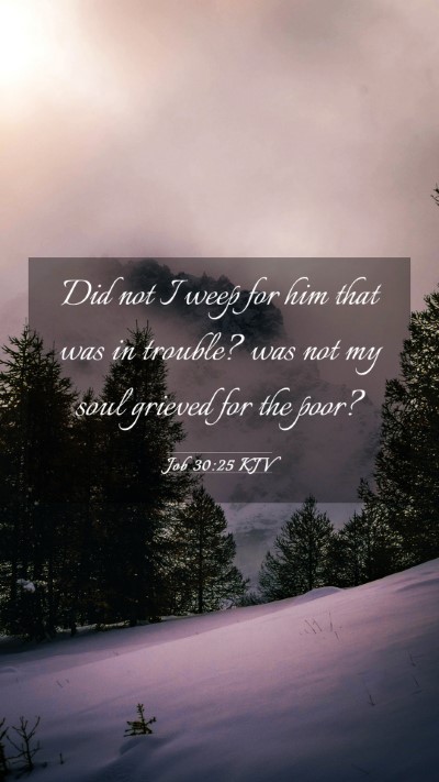 Picture 03 - Job 30:25 KJV Mobile Phone Wallpaper - Did not I weep for him that was in trouble? was - Mobile Bible Verse Wallpaper