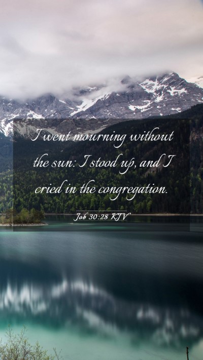 Picture 03 - Job 30:28 KJV Mobile Phone Wallpaper - I went mourning without the sun: I stood up, and - Mobile Bible Verse Wallpaper