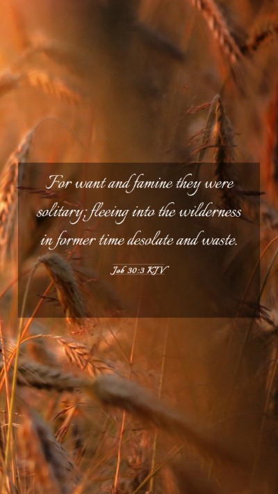 Picture 03 - Job 30:3 KJV Mobile Phone Wallpaper - For want and famine they were solitary; fleeing - Mobile Bible Verse Wallpaper