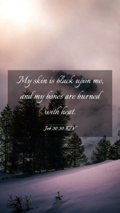 Picture 03 - Job 30:30 KJV Mobile Phone Wallpaper - My skin is black upon me, and my bones are burned - Mobile Bible Verse Wallpaper