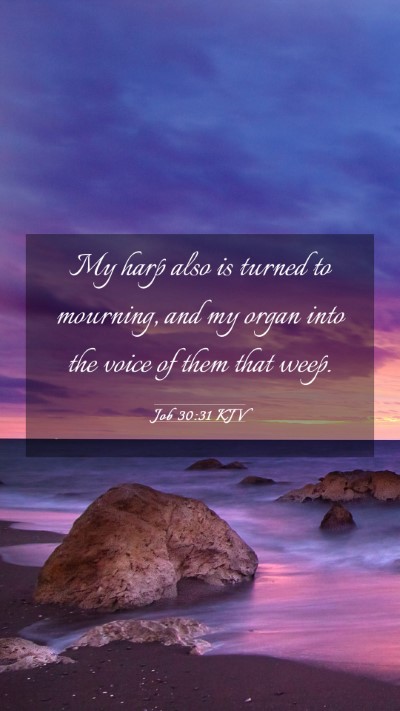 Picture 03 - Job 30:31 KJV Mobile Phone Wallpaper - My harp also is turned to mourning, and my organ - Mobile Bible Verse Wallpaper