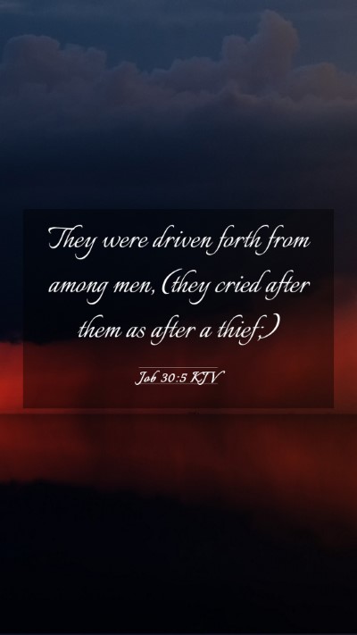 Picture 03 - Job 30:5 KJV Mobile Phone Wallpaper - They were driven forth from among men, (they - Mobile Bible Verse Wallpaper