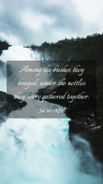 Picture 03 - Job 30:7 KJV Mobile Phone Wallpaper - Among the bushes they brayed; under the nettles - Mobile Bible Verse Wallpaper