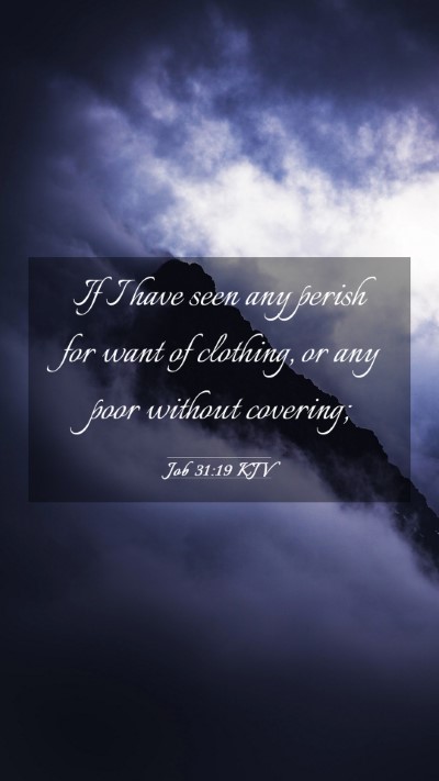 Picture 03 - Job 31:19 KJV Mobile Phone Wallpaper - If I have seen any perish for want of clothing, - Mobile Bible Verse Wallpaper