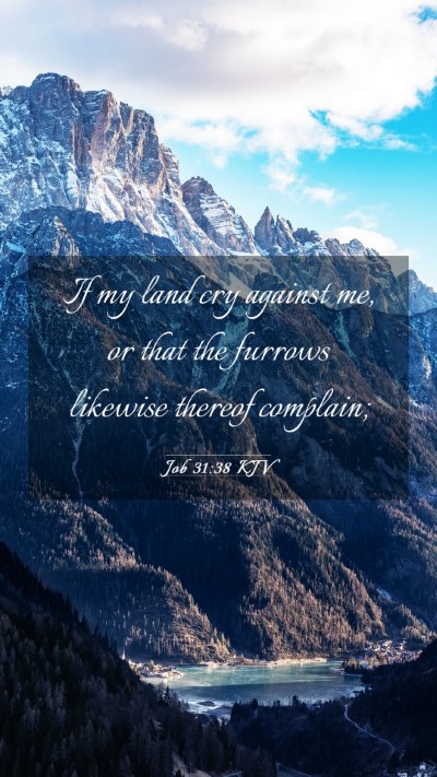 Picture 03 - Job 31:38 KJV Mobile Phone Wallpaper - If my land cry against me, or that the furrows - Mobile Bible Verse Wallpaper