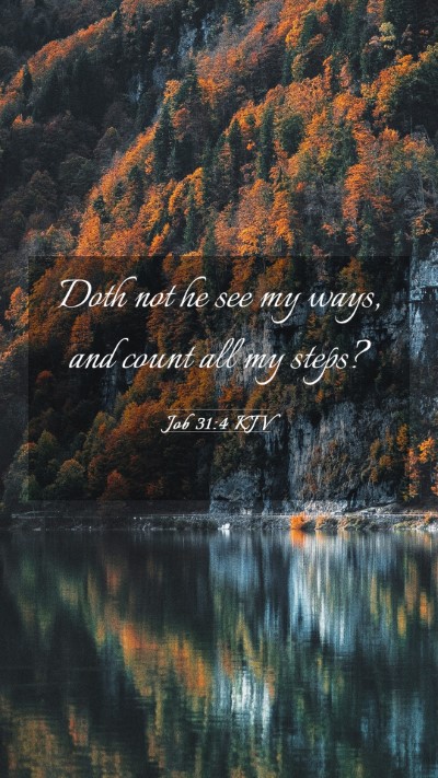 Picture 03 - Job 31:4 KJV Mobile Phone Wallpaper - Doth not he see my ways, and count all my - Mobile Bible Verse Wallpaper