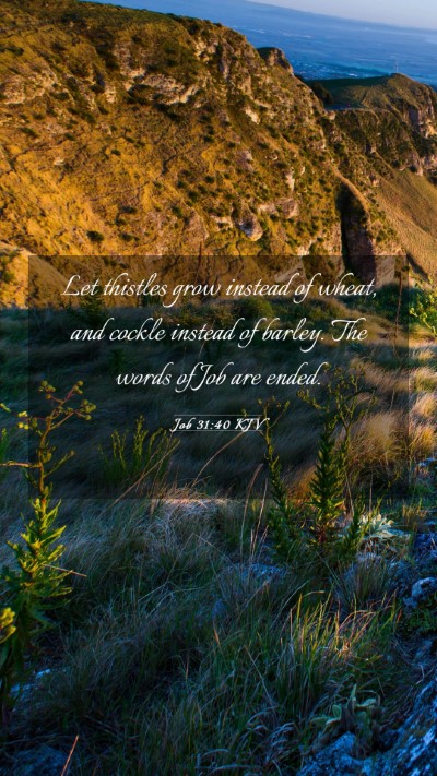 Picture 03 - Job 31:40 KJV Mobile Phone Wallpaper - Let thistles grow instead of wheat, and cockle - Mobile Bible Verse Wallpaper