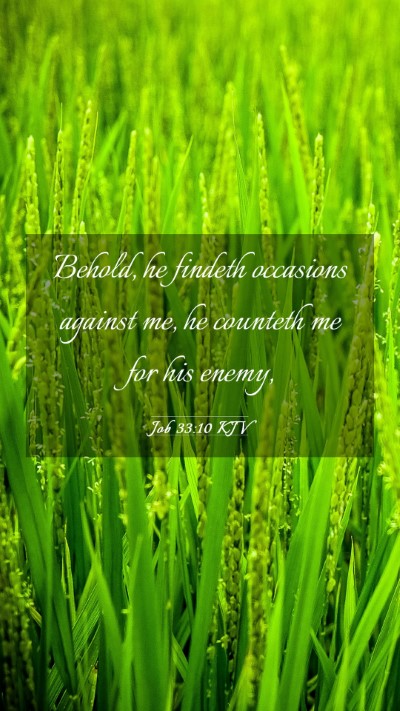 Picture 03 - Job 33:10 KJV Mobile Phone Wallpaper - Behold, he findeth occasions against me, he - Mobile Bible Verse Wallpaper