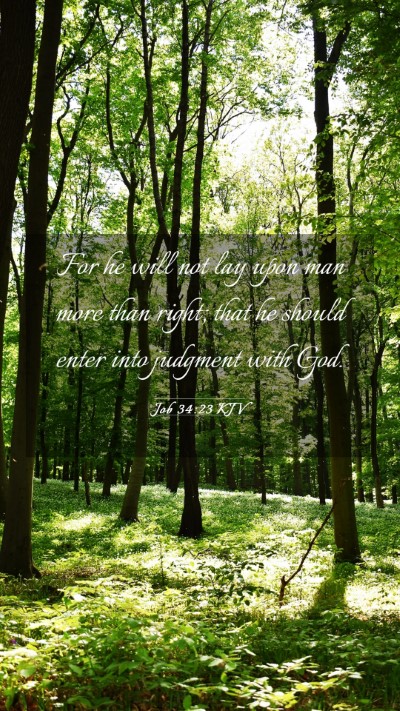 Picture 03 - Job 34:23 KJV Mobile Phone Wallpaper - For he will not lay upon man more than right; - Mobile Bible Verse Wallpaper
