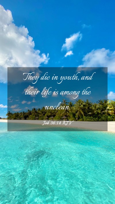 Picture 03 - Job 36:14 KJV Mobile Phone Wallpaper - They die in youth, and their life is among the - Mobile Bible Verse Wallpaper