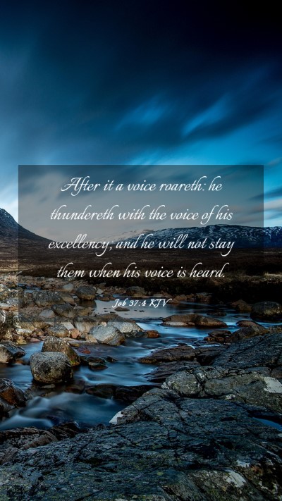 Picture 03 - Job 37:4 KJV Mobile Phone Wallpaper - After it a voice roareth: he thundereth with the - Mobile Bible Verse Wallpaper