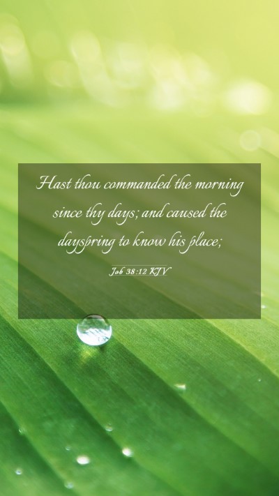 Picture 03 - Job 38:12 KJV Mobile Phone Wallpaper - Hast thou commanded the morning since thy days; - Mobile Bible Verse Wallpaper